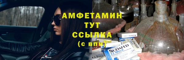 СК Алексин