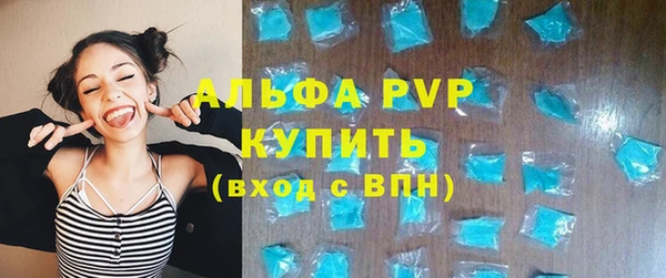 СК Алексин