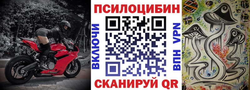 сколько стоит  Армянск  kraken зеркало  Галлюциногенные грибы Psilocybe 